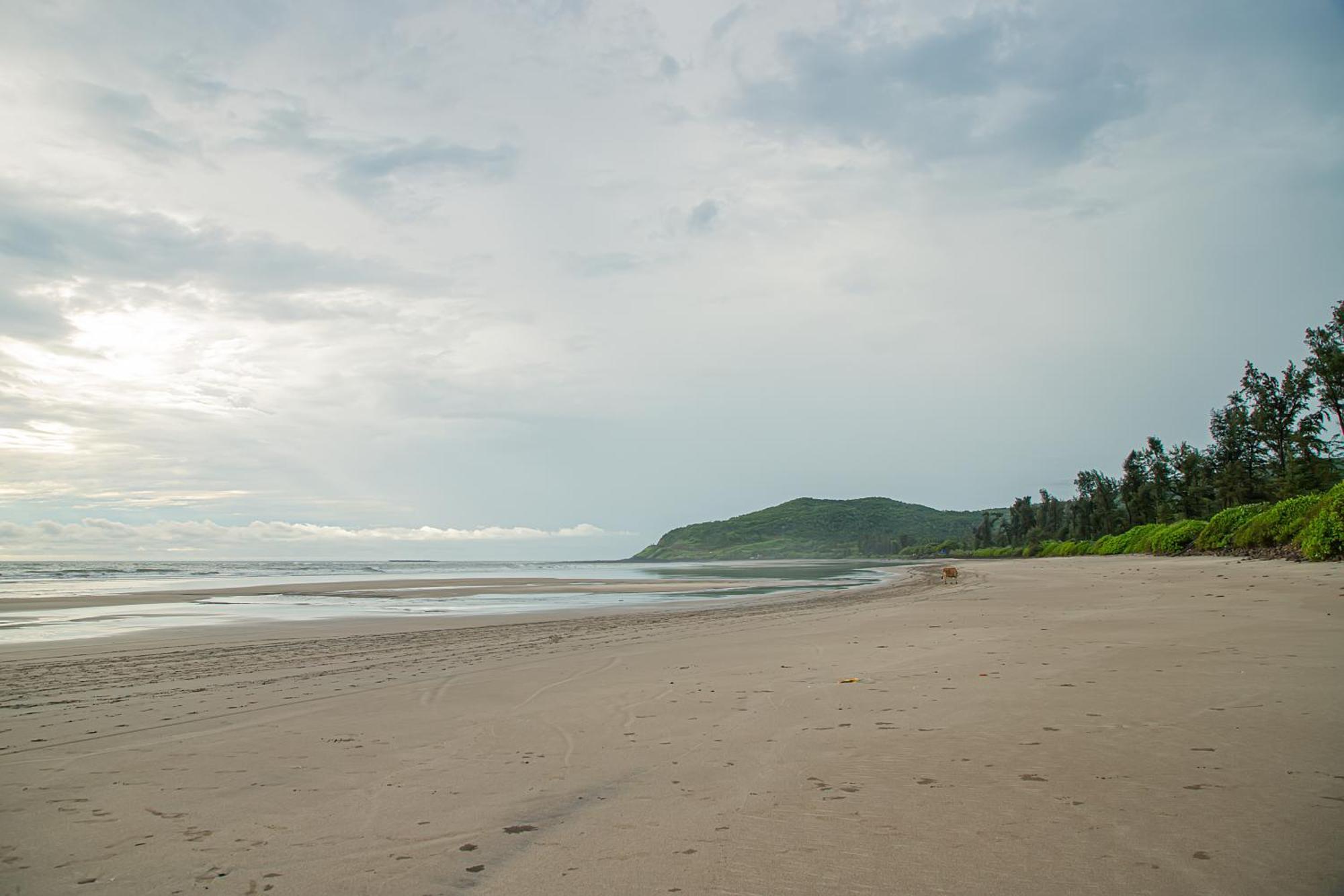White Sand Beach Resort Kondivali Exterior photo